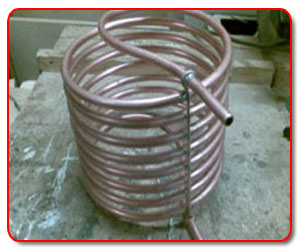 Stainless Steel 317 Coil Tubing suppliers in India 