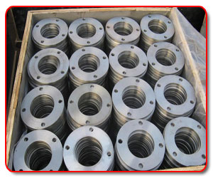 Stainless Steel Flanges Packing 